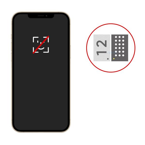 Sửa IC Face ID iPhone 12 Pro