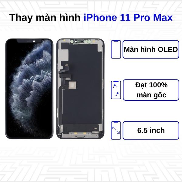 Thay màn hình iPhone 11 Pro Max - Chính Hãng Apple