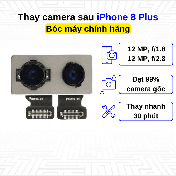 Thay camera sau iPhone 8 Plus - Bóc máy Chính Hãng Apple
