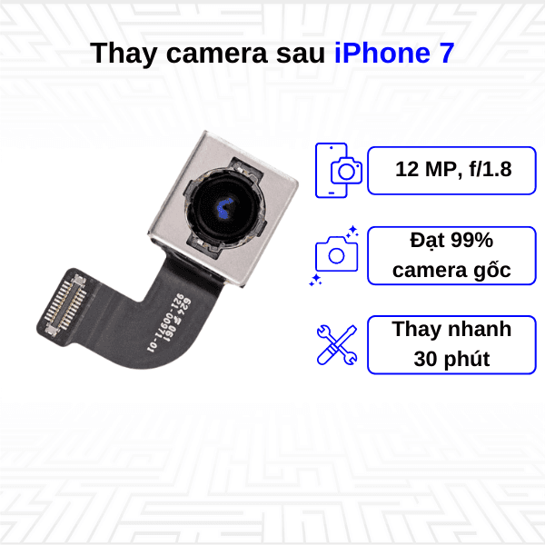 Thay camera sau iPhone 7